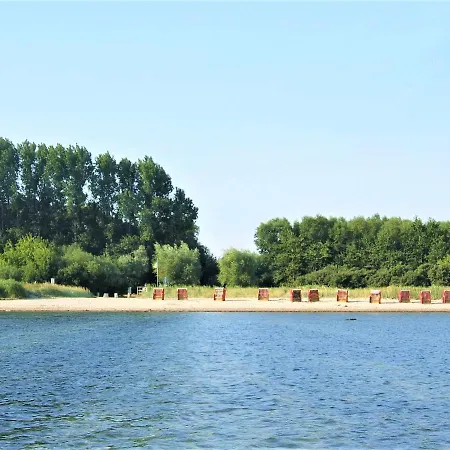 Daire Breitlingblicke